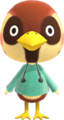 Sparro